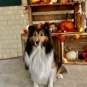 Meet your Posher, Lori